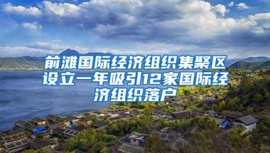 前滩国际经济组织集聚区设立一年吸引12家国际经济组织落户