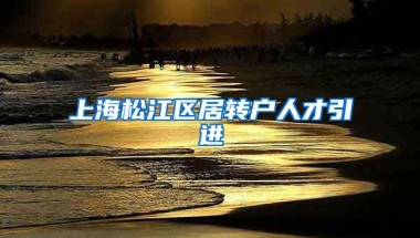 上海松江区居转户人才引进