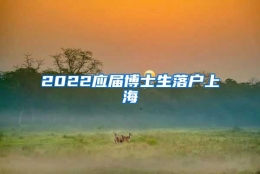 2022应届博士生落户上海