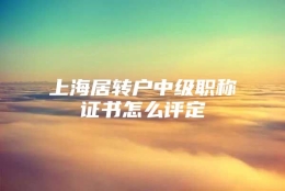 上海居转户中级职称证书怎么评定