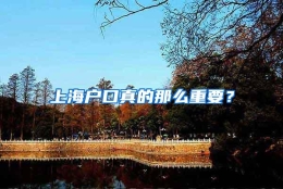 上海户口真的那么重要？