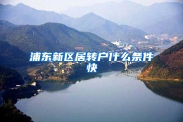 浦东新区居转户什么条件快