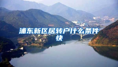 浦东新区居转户什么条件快