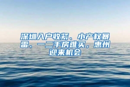 深圳入户收紧、小产权暴雷、一二手房难买，惠州迎来机会