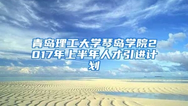 青岛理工大学琴岛学院2017年上半年人才引进计划