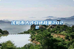 沈阳市人才引进政策2022