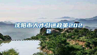 沈阳市人才引进政策2022