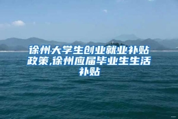 徐州大学生创业就业补贴政策,徐州应届毕业生生活补贴