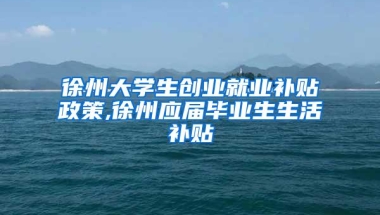 徐州大学生创业就业补贴政策,徐州应届毕业生生活补贴