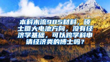 本科末流985材料，硕士厦大电池方向，没有经济学基础，可以跨学科申请经济类的博士吗？