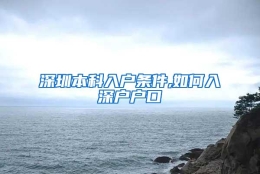 深圳本科入户条件,如何入深户户口