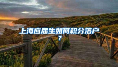 上海应届生如何积分落户？