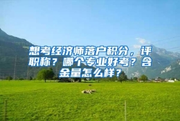 想考经济师落户积分，评职称？哪个专业好考？含金量怎么样？