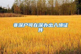 非深户可在深办出入境证件