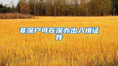 非深户可在深办出入境证件