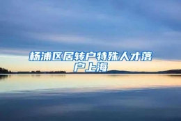 杨浦区居转户特殊人才落户上海