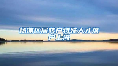 杨浦区居转户特殊人才落户上海