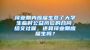 择业期内应届生签了大学生临时公益岗位的合同，给交社保，还算择业期应届生吗？