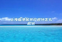 上海临港居转户规划怎么规划