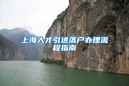 上海人才引进落户办理流程指南