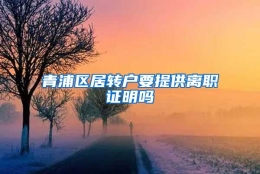 青浦区居转户要提供离职证明吗