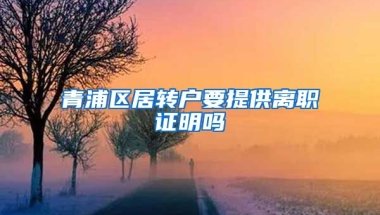 青浦区居转户要提供离职证明吗