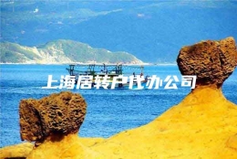 上海居转户代办公司