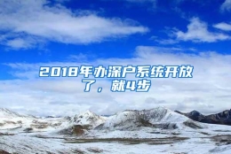 2018年办深户系统开放了，就4步