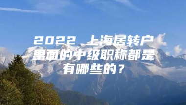 2022 上海居转户里面的中级职称都是有哪些的？