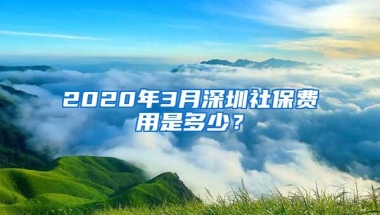 2020年3月深圳社保费用是多少？