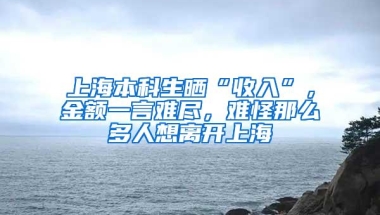 上海本科生晒“收入”，金额一言难尽，难怪那么多人想离开上海