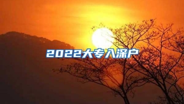 2022大专入深户