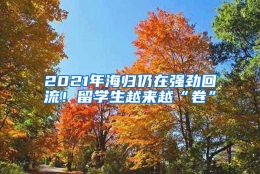 2021年海归仍在强劲回流！留学生越来越“卷”