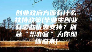 创业政府方面有什么扶持政策(毕业生创业有哪些优惠支持？别急“帮办官”为你细细道来)