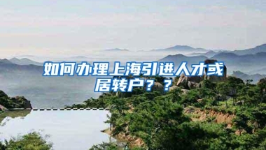 如何办理上海引进人才或居转户？？