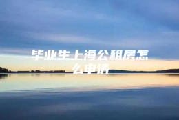 毕业生上海公租房怎么申请