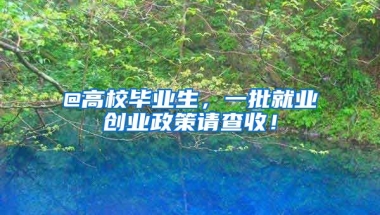 @高校毕业生，一批就业创业政策请查收！