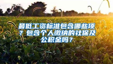 最低工资标准包含哪些项？包含个人缴纳的社保及公积金吗？