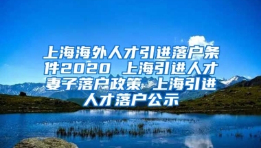 上海海外人才引进落户条件2020 上海引进人才妻子落户政策 上海引进人才落户公示