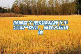 深圳首个法治体检线下平台落户龙岗，就在大运小镇