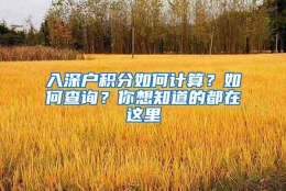 入深户积分如何计算？如何查询？你想知道的都在这里