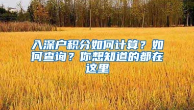 入深户积分如何计算？如何查询？你想知道的都在这里