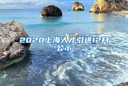 2020上海人才引进12月公示