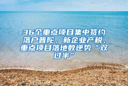 36个重点项目集中签约落户普陀，新企业产税、重点项目落地数逆势“双过半”