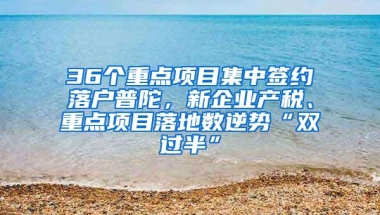 36个重点项目集中签约落户普陀，新企业产税、重点项目落地数逆势“双过半”