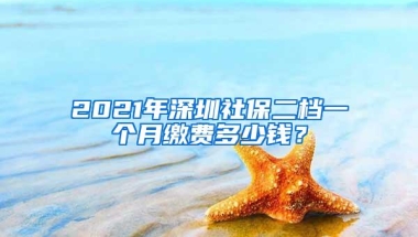 2021年深圳社保二档一个月缴费多少钱？