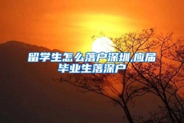 留学生怎么落户深圳,应届毕业生落深户