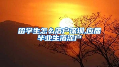 留学生怎么落户深圳,应届毕业生落深户