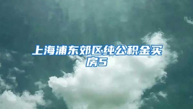 上海浦东郊区纯公积金买房5