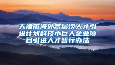 天津市海外高层次人才引进计划科技小巨人企业项目引进人才暂行办法